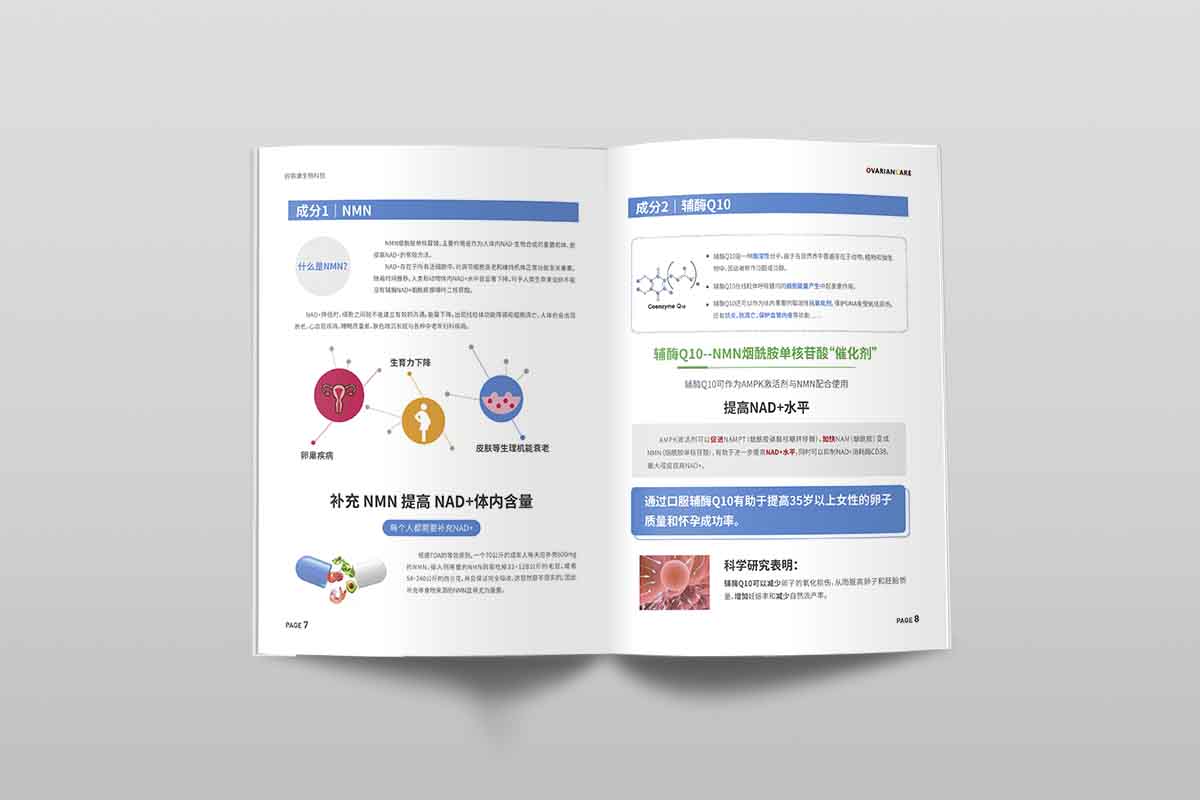 厦门宣传册设计制作